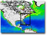 OCTS_GULFSTREAM_AREA.JPG - 8,373BYTES