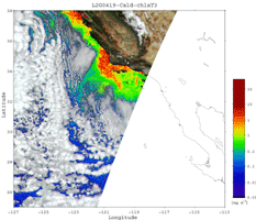 A2GL1030419_CALCOF_CHLAT3.GIF