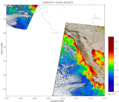 A2GL1030430_CALCOF_CHLAT3.GIF