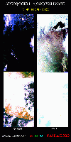 N_America
