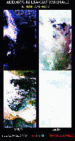 N_America