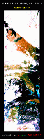 N_America