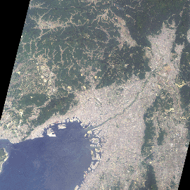 Kansai All